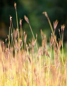 奇幻魔法 头像动漫