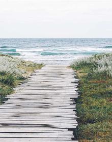 竞技体育 头像动漫